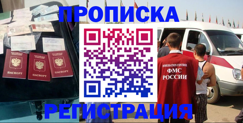временная регистрация гарантия в Жуковском